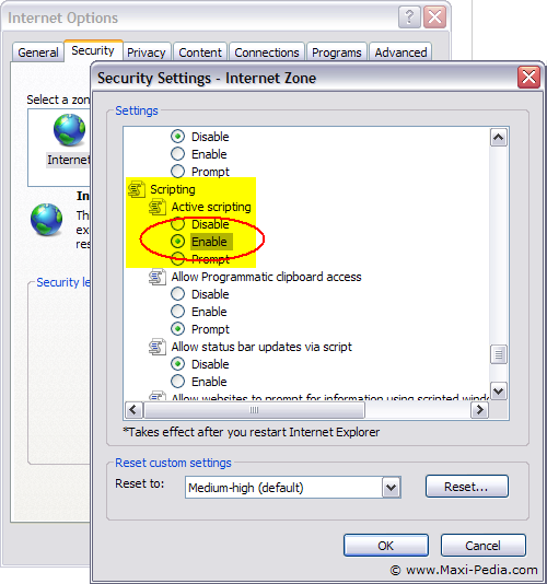 Internet Explorer setting - enable Active Scripting