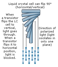 LCD display polarizing agent